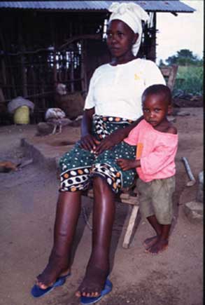 scbr.jpg (16897 �ֽ�)